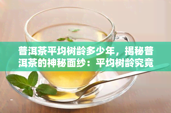 普洱茶平均树龄多少年，揭秘普洱茶的神秘面纱：平均树龄究竟多少年？