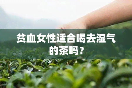 贫血女性适合喝去湿气的茶吗？