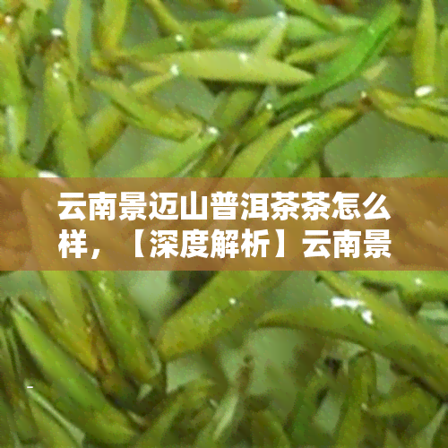 云南景迈山普洱茶茶怎么样，【深度解析】云南景迈山普洱茶，口感如何？值得入手吗？