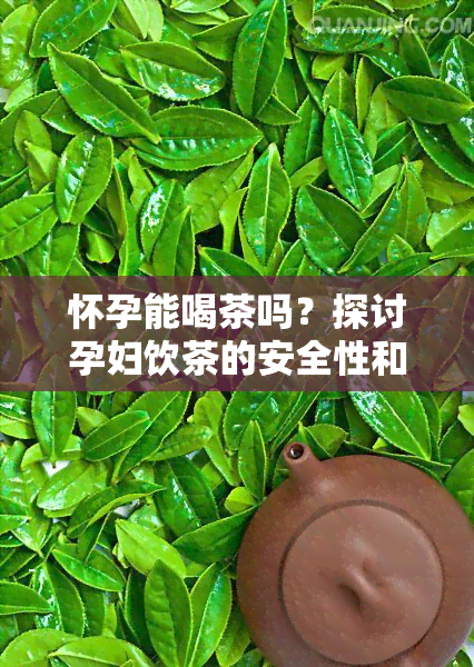 怀孕能喝茶吗？探讨孕妇饮茶的安全性和适宜性