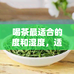 喝茶最适合的度和湿度，适宜的度与湿度：品味茶叶的环境条件