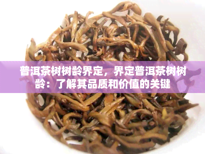 普洱茶树树龄界定，界定普洱茶树树龄：了解其品质和价值的关键