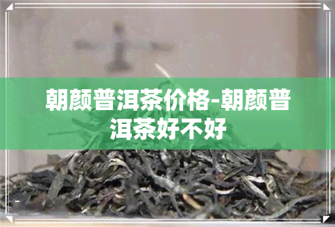 朝颜普洱茶价格-朝颜普洱茶好不好