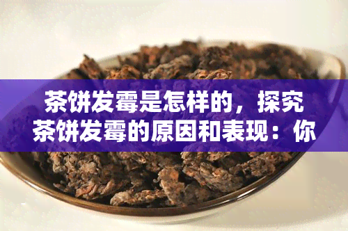 茶饼发霉是怎样的，探究茶饼发霉的原因和表现：你不可不知的茶叶保存知识