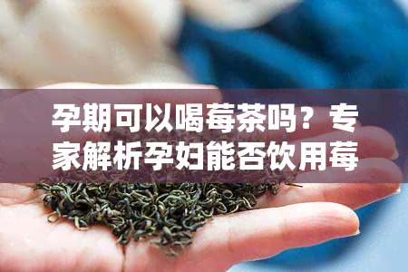 孕期可以喝莓茶吗？专家解析孕妇能否饮用莓茶