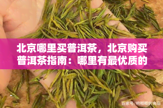 北京哪里买普洱茶，北京购买普洱茶指南：哪里有更优质的茶叶？