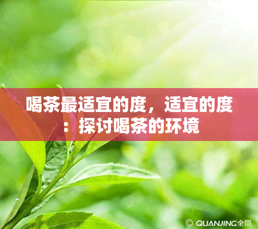 喝茶最适宜的度，适宜的度：探讨喝茶的环境