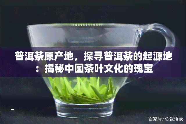 普洱茶原产地，探寻普洱茶的起源地：揭秘中国茶叶文化的瑰宝