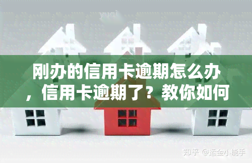 刚办的信用卡逾期怎么办，信用卡逾期了？教你如何解决！