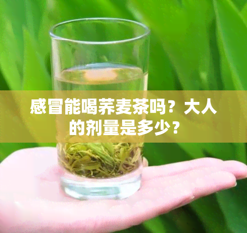 感冒能喝荞麦茶吗？大人的剂量是多少？