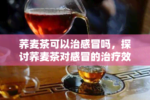 荞麦茶可以治感冒吗，探讨荞麦茶对感冒的治疗效果