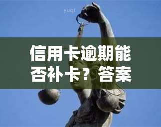 信用卡逾期能否补卡？答案在这里！