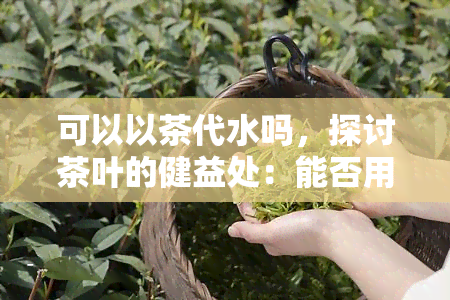 可以以茶代水吗，探讨茶叶的健益处：能否用茶代替水？