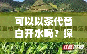 可以以茶代替白开水吗？探讨其可行性和原因