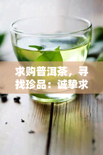 求购普洱茶，寻找珍品：诚挚求购普洱茶！