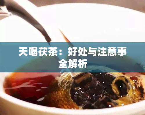 天喝茯茶：好处与注意事全解析