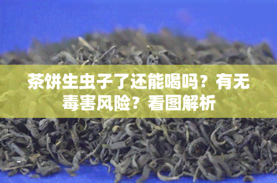 茶饼生虫子了还能喝吗？有无害风险？看图解析