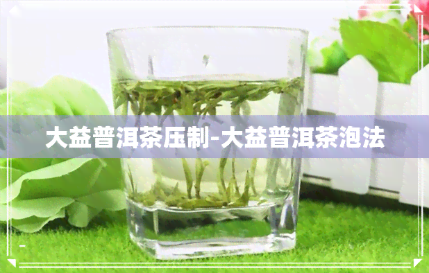 大益普洱茶压制-大益普洱茶泡法