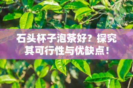 石头杯子泡茶好？探究其可行性与优缺点！