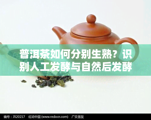 普洱茶如何分别生熟？识别人工发酵与自然后发酵的区别