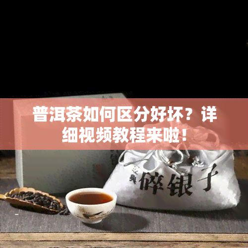 普洱茶如何区分好坏？详细视频教程来啦！