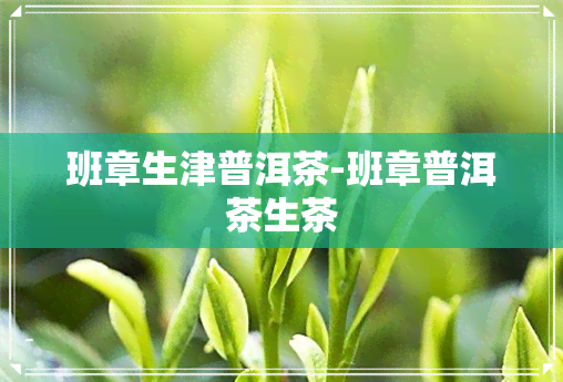 班章生津普洱茶-班章普洱茶生茶