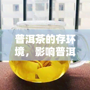 普洱茶的存环境，影响普洱茶品质的关键因素：正确的存环境