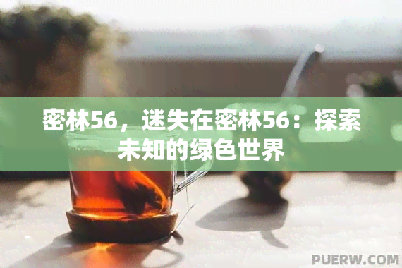 密林56，迷失在密林56：探索未知的绿色世界