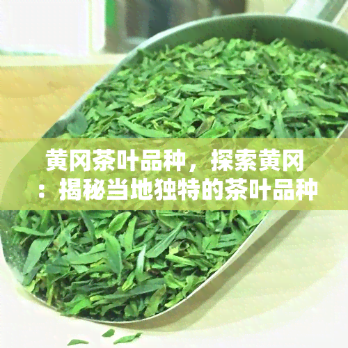 黄冈茶叶品种，探索黄冈：揭秘当地独特的茶叶品种