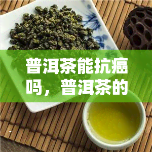 普洱茶能抗癌吗，普洱茶的抗癌功效：科学解析