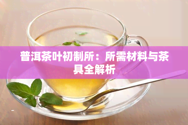 普洱茶叶初制所：所需材料与茶具全解析