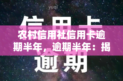 农村信用社信用卡逾期半年，逾期半年：揭秘农村信用社信用卡的还款困境