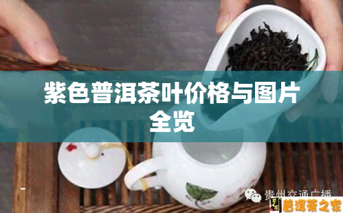 紫色普洱茶叶价格与图片全览