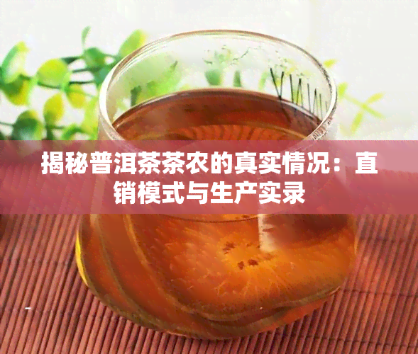 揭秘普洱茶茶农的真实情况：直销模式与生产实录