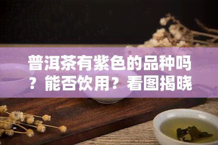 普洱茶有紫色的品种吗？能否饮用？看图揭晓