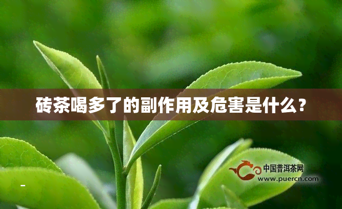 砖茶喝多了的副作用及危害是什么？