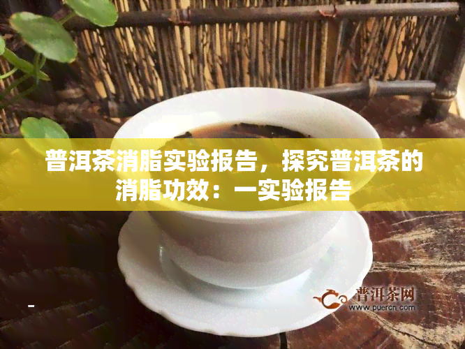 普洱茶消脂实验报告，探究普洱茶的消脂功效：一实验报告