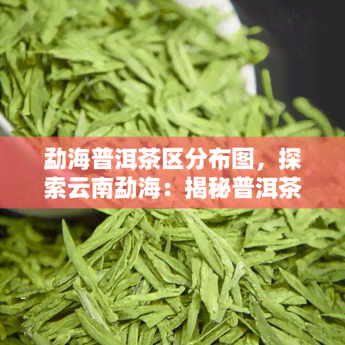 勐海普洱茶区分布图，探索云南勐海：揭秘普洱茶区的地理分布