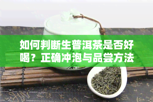 如何判断生普洱茶是否好喝？正确冲泡与品尝方法解析