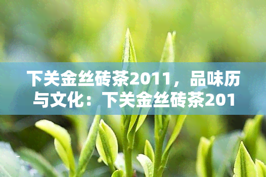 下关金丝砖茶2011，品味历与文化：下关金丝砖茶2011的鉴与品尝