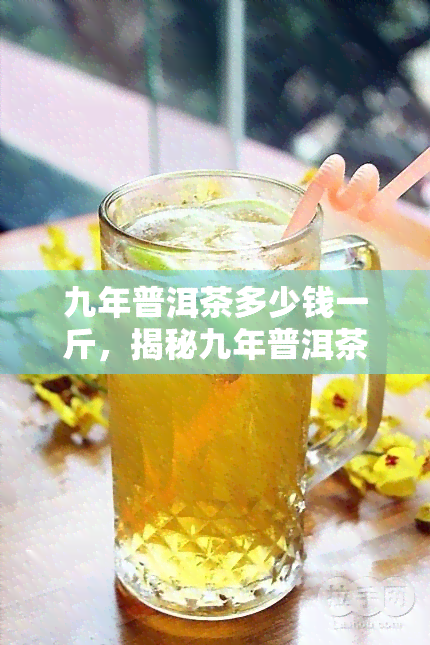 九年普洱茶多少钱一斤，揭秘九年普洱茶价格：一斤要多少钱？