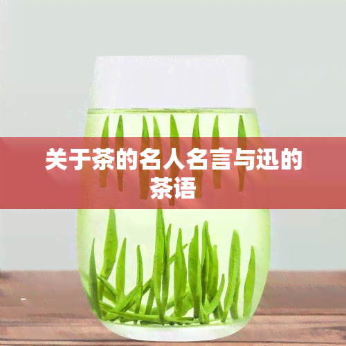 关于茶的名人名言与迅的茶语