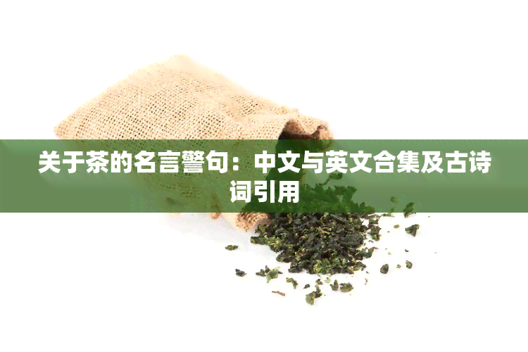 关于茶的名言警句：中文与英文合集及古诗词引用