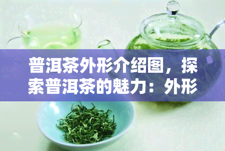 普洱茶外形介绍图，探索普洱茶的魅力：外形介绍全解析