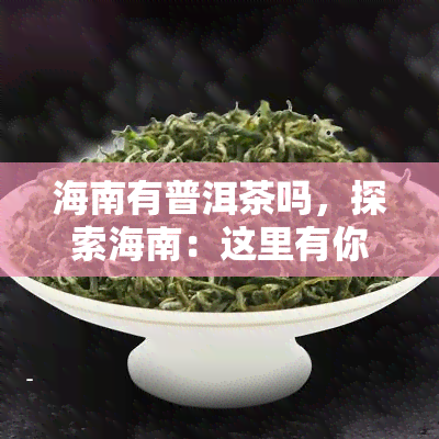 海南有普洱茶吗，探索海南：这里有你不知道的普洱茶文化