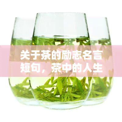 关于茶的励志名言短句，茶中的人生智慧：励志名言短句分享