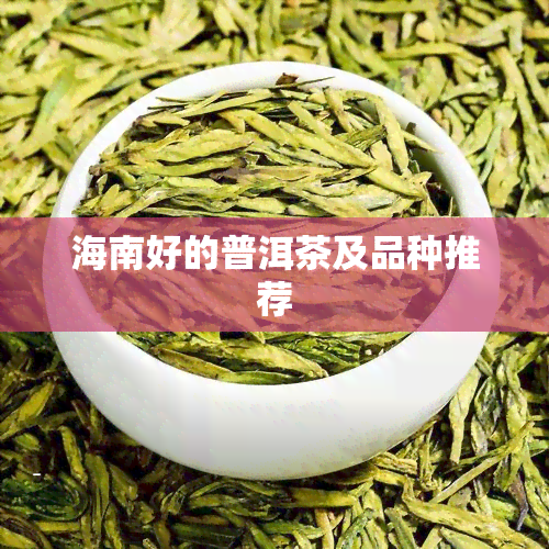 海南好的普洱茶及品种推荐