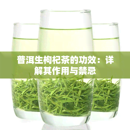 普洱生枸杞茶的功效：详解其作用与禁忌