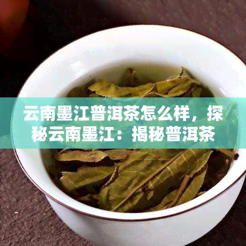 云南墨江普洱茶怎么样，探秘云南墨江：揭秘普洱茶的品质与魅力