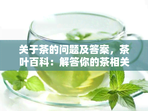 关于茶的问题及答案，茶叶百科：解答你的茶相关问题